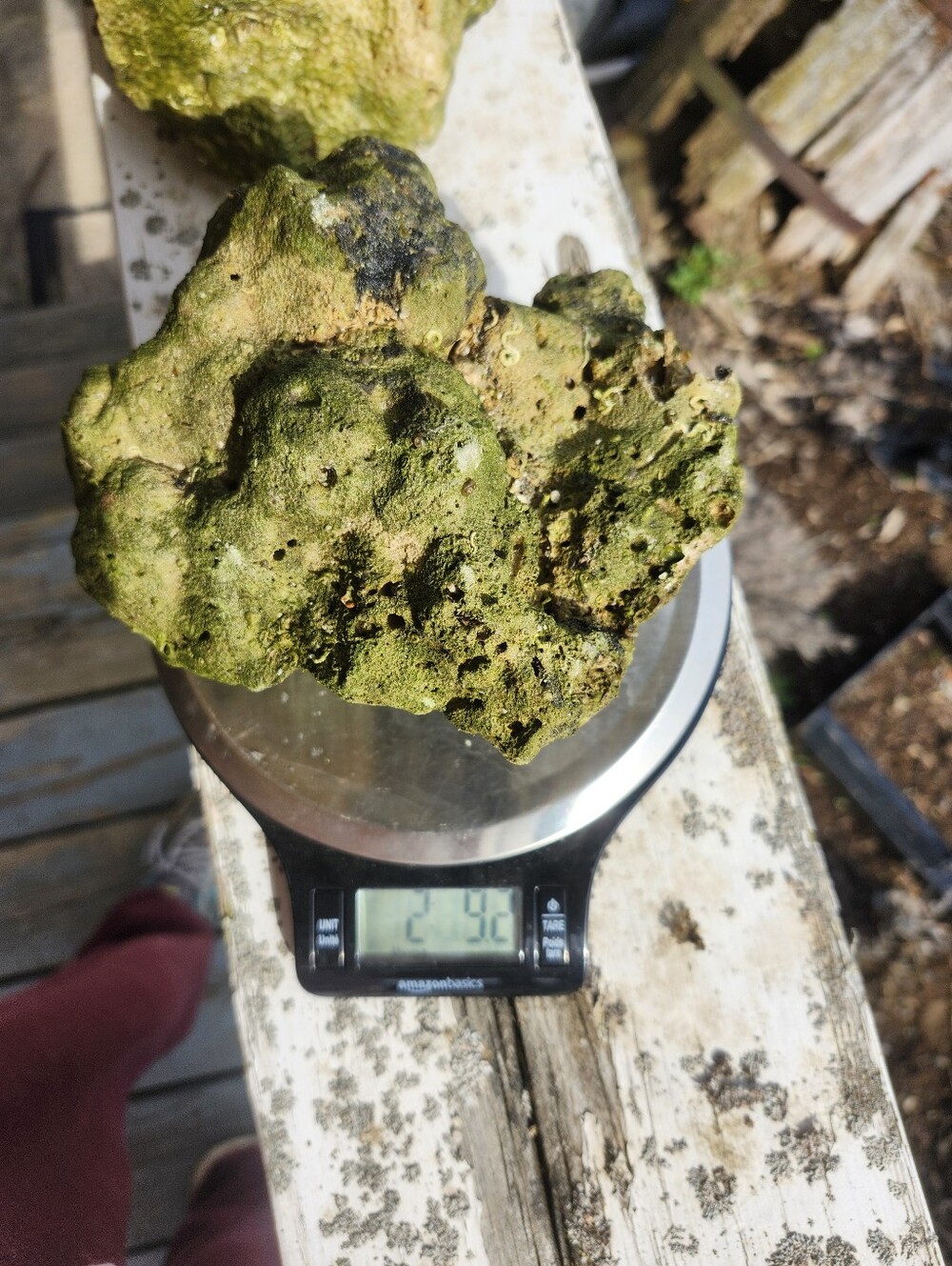 Fiji Dry Base Rock for Saltwater Aquarium Setup Natural Reef Rock Aquascaping